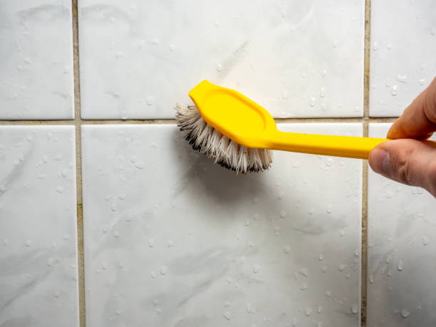 Mold Removal and Inspection in Compo, CT