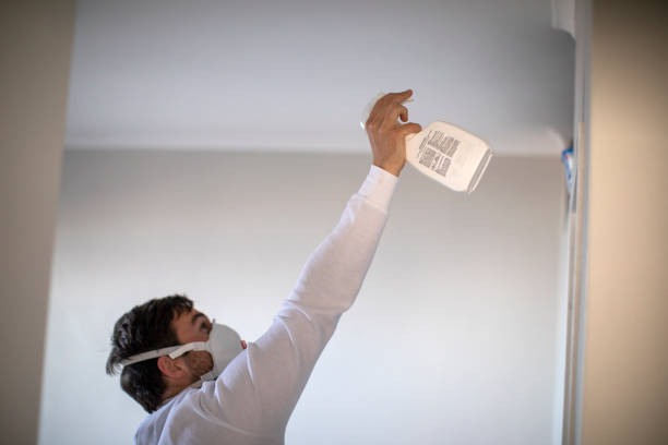 Best Black Mold Removal  in Compo, CT