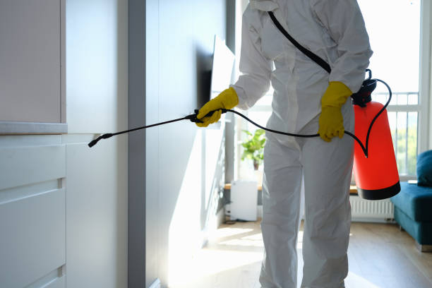 Best Crawl Space Mold Removal  in Compo, CT