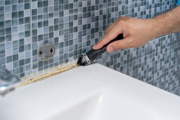Best Mold Testing  in Compo, CT