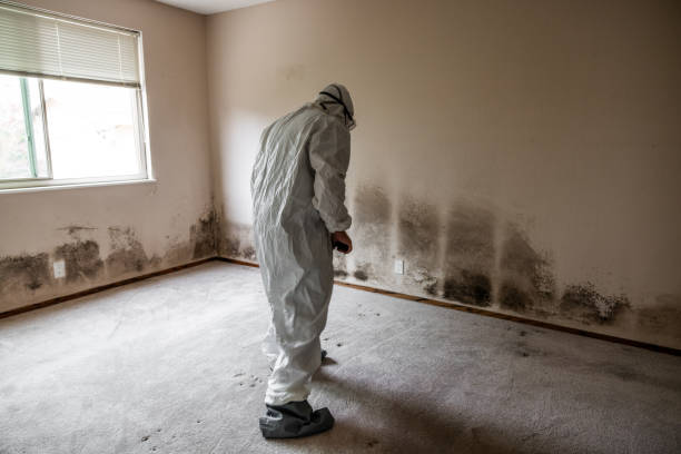 Water Damage Restoration in Compo, CT